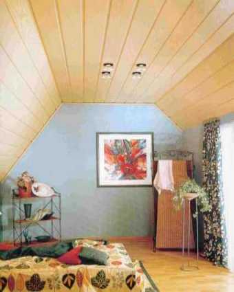 plafond frise01